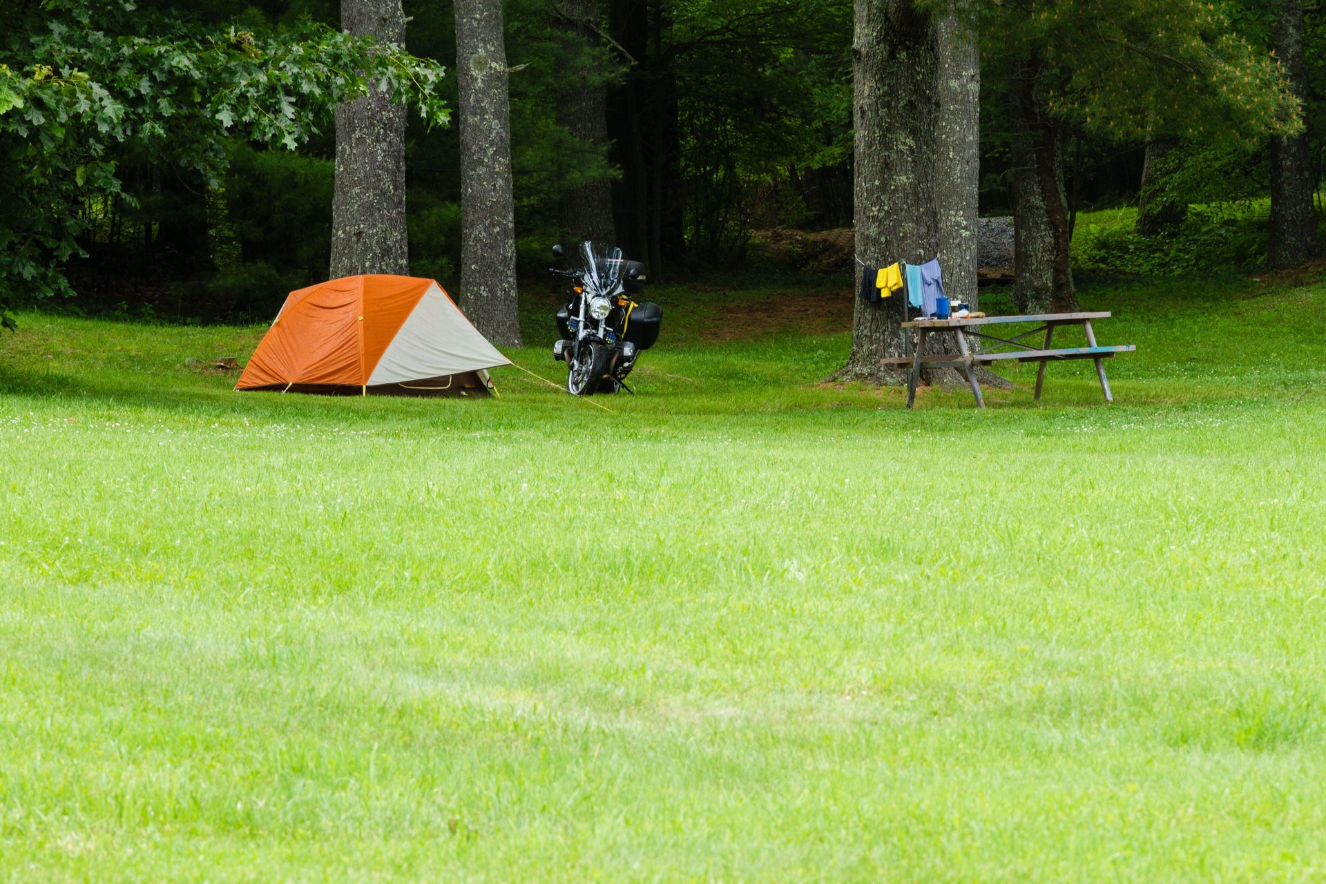 Peaceful campsite site under the shady trees of a campground.